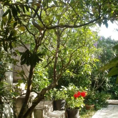 Semesterbostad Seaside Andrija - Two Bedroom With Sea View Ston