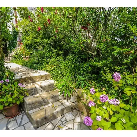 Seaside Andrija - Two Bedroom With Sea View Semesterbostad *
